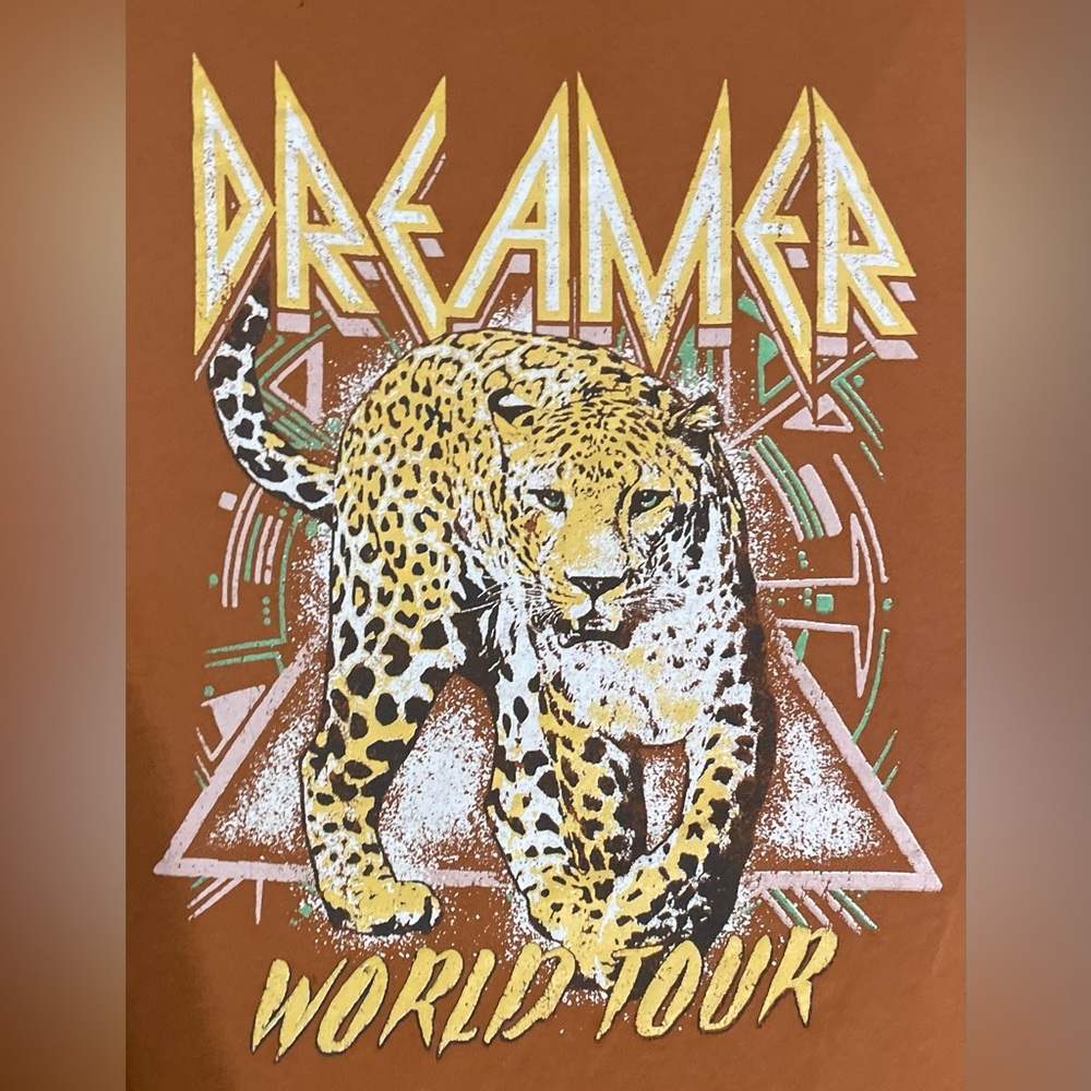 Dreamer Orange Leopard Print Sweater
